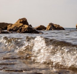 Туры в Моравске Топлице 2025 - цены на путевки в Словению из Москвы от туроператора «Анекс Тур»