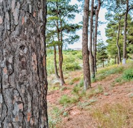 Туры в Азербайджан 2025 из Москвы - цена на отдых от туроператора «Анекс Тур» Туры в Азербайджан 2025 из Москвы - цена на отдых от туроператора «Анекс Тур»