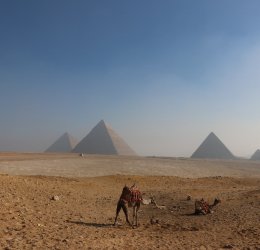 Туры в Каир 2025 - цены на путевки в Египет из Москвы от туроператора «Анекс Тур»