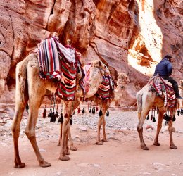 Туры в Петру 2025 - цены на путевки в Иорданию из Москвы от туроператора «Анекс Тур»