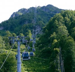 Туры в Дагомыс 2025 - цены на путевки в Россию из Москвы от туроператора «Анекс Тур»