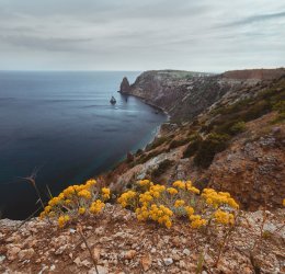 Туры в Саки 2025 - цены на путевки в Россию из Москвы от туроператора «Анекс Тур»