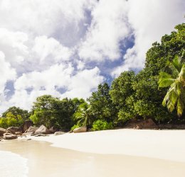 Туры на о. Денис 2025 - цены на путевки на Сейшелы из Москвы от туроператора «Анекс Тур»