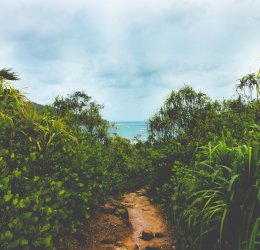 Туры на о. Денис 2025 - цены на путевки на Сейшелы из Москвы от туроператора «Анекс Тур»