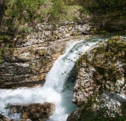 Туры в Терме Раденци 2025 - цены на путевки в Словению из Москвы от туроператора «Анекс Тур»