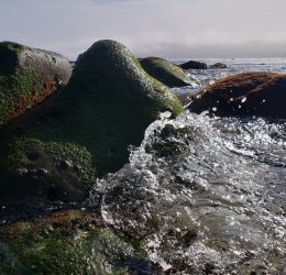 Туры в Сан Диего 2025 - цены на путевки в США из Москвы от туроператора «Анекс Тур» Туры в Сан Диего 2025 - цены на путевки в США из Москвы от туроператора «Анекс Тур»