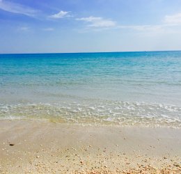 Туры в Хаммамет 2025 - цены на путевки в Тунис из Москвы от туроператора «Анекс Тур»