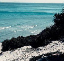 Туры в Хаммамет 2025 - цены на путевки в Тунис из Москвы от туроператора «Анекс Тур»