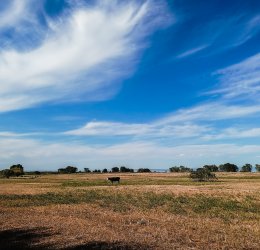 Туры в Благовещенскую 2025 - цены на путевки в Россию из Москвы от туроператора «Анекс Тур»