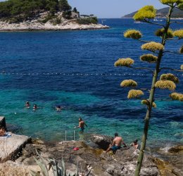 Туры в Пореч 2025 - цены на путевки в Хорватию из Москвы от туроператора «Анекс Тур»