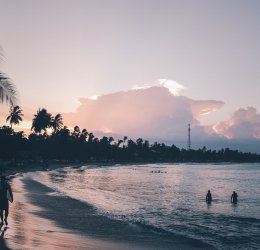 Туры в Шри-Ланку 2025 из Москвы - цена на отдых от туроператора «Анекс Тур»