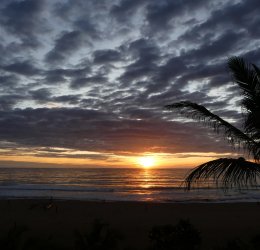 Туры в Негомбо 2025 - цены на путевки в Шри-Ланку из Москвы от туроператора «Анекс Тур»