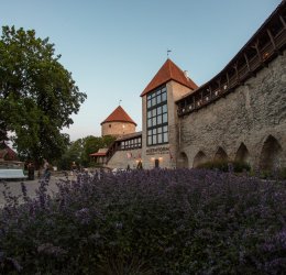 Туры в Эстонию 2025 из Москвы - цена на отдых от туроператора Анекс Туры в Эстонию 2025 из Москвы - цена на отдых от туроператора Анекс