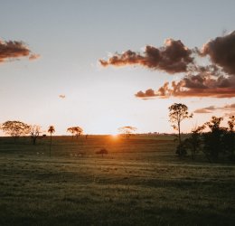 Туры в Очо Риос 2025 - цены на путевки на Ямайку из Москвы от туроператора «Анекс Тур»