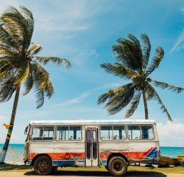 Туры в Раневей Бэй 2025 - цены на путевки на Ямайку из Москвы от туроператора «Анекс Тур»