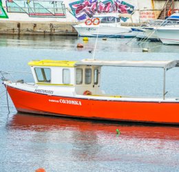 Туры для отдыха с детьми 2025 по недорогим ценам – «Анекс Тур»