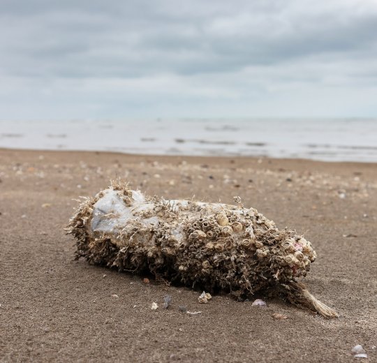 Туры в Азербайджан 2025 из Москвы - цена на отдых от туроператора «Анекс Тур» Туры в Азербайджан 2025 из Москвы - цена на отдых от туроператора «Анекс Тур»