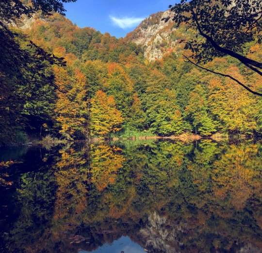 Туры в Азербайджан 2025 из Москвы - цена на отдых от туроператора «Анекс Тур» Туры в Азербайджан 2025 из Москвы - цена на отдых от туроператора «Анекс Тур»