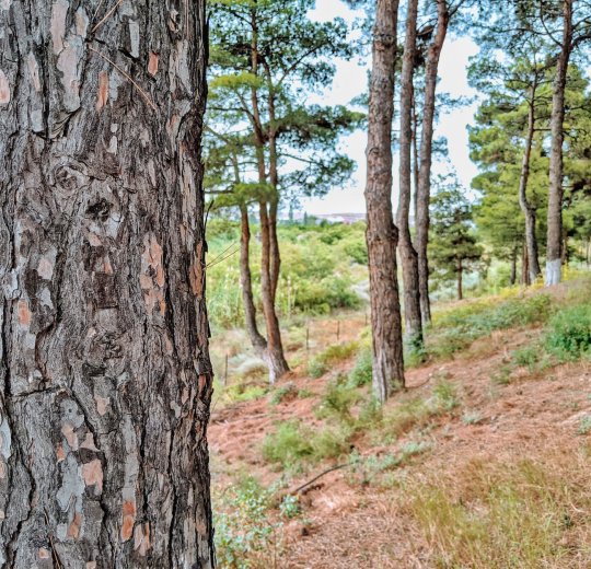 Туры в Азербайджан 2025 из Москвы - цена на отдых от туроператора «Анекс Тур» Туры в Азербайджан 2025 из Москвы - цена на отдых от туроператора «Анекс Тур»