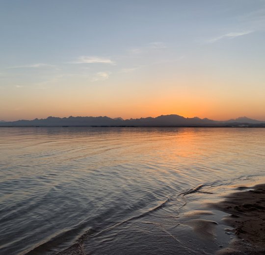 Туры в Сафагу 2025 - цены на путевки в Египет из Москвы от туроператора «Анекс Тур»