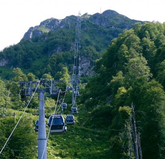 Туры в Дагомыс 2025 - цены на путевки в Россию из Москвы от туроператора «Анекс Тур»