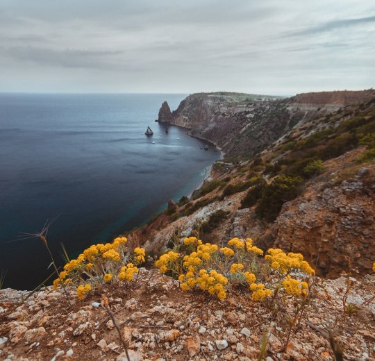 Туры в Саки 2025 - цены на путевки в Россию из Москвы от туроператора «Анекс Тур»
