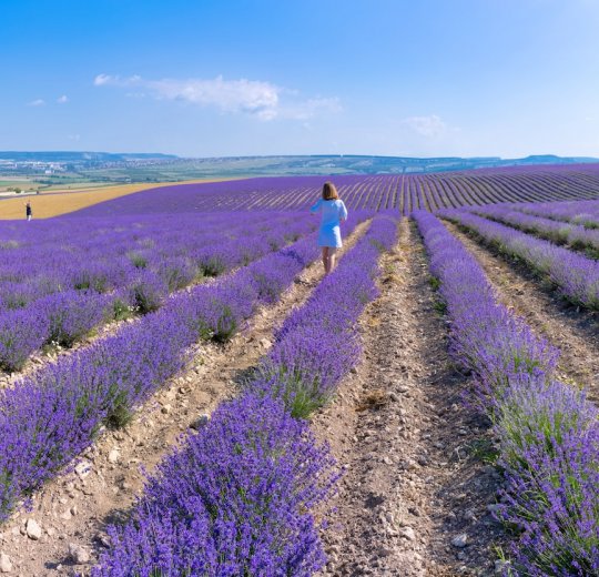 Туры в Бахчисарай 2025 - цены на путевки в Россию из Москвы от туроператора «Анекс Тур»