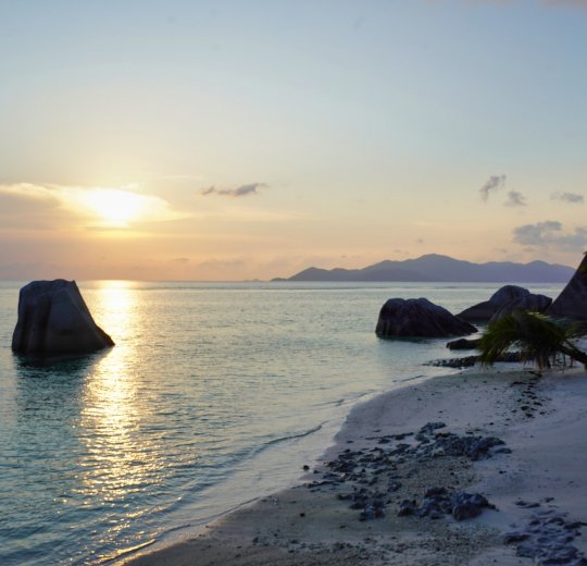 Туры на о. Денис 2025 - цены на путевки на Сейшелы из Москвы от туроператора «Анекс Тур»