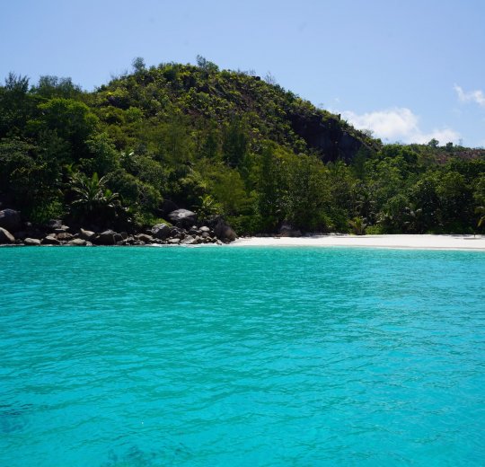 Туры на о. Денис 2025 - цены на путевки на Сейшелы из Москвы от туроператора «Анекс Тур»