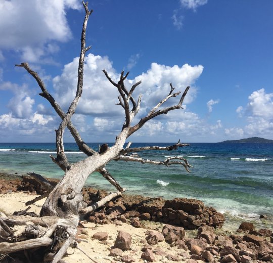 Туры на о. Святой Анны 2025 - цены на путевки на Сейшелы из Москвы от туроператора «Анекс Тур»