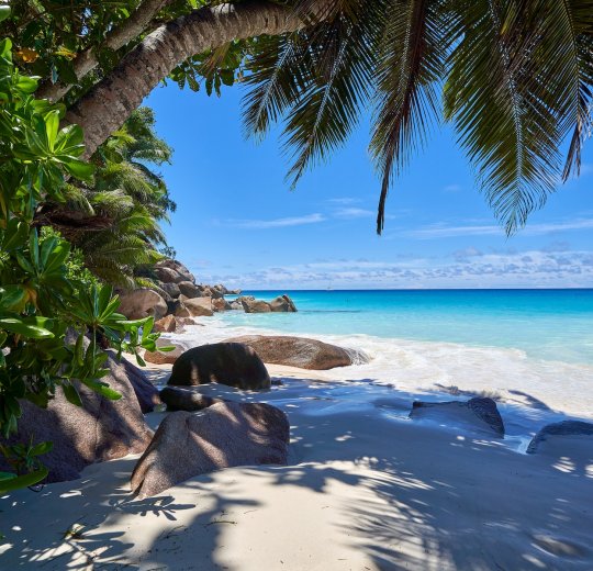 Туры на о. Праслин 2025 - цены на путевки на Сейшелы из Москвы от туроператора «Анекс Тур»