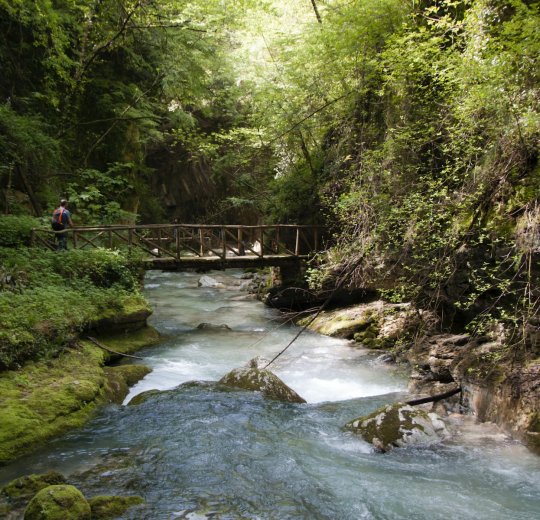 Туры в Терме Раденци 2025 - цены на путевки в Словению из Москвы от туроператора «Анекс Тур»