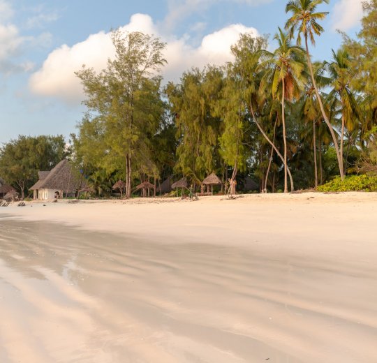 Туры  2025 - цены на путевки в Танзанию из Москвы от туроператора «Анекс Тур»