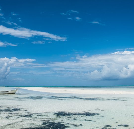 Туры  2025 - цены на путевки в Танзанию из Москвы от туроператора «Анекс Тур»