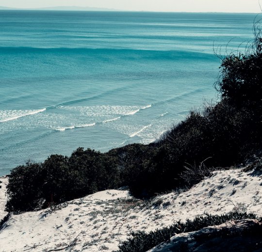 Туры в Хаммамет 2025 - цены на путевки в Тунис из Москвы от туроператора «Анекс Тур»