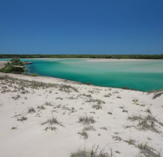 Туры в Благовещенскую 2025 - цены на путевки в Россию из Москвы от туроператора «Анекс Тур»