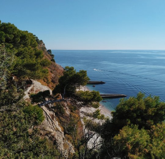 Туры в Массандру 2025 - цены на путевки в Россию из Москвы от туроператора «Анекс Тур»