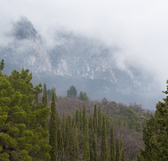 Туры в Массандру 2025 - цены на путевки в Россию из Москвы от туроператора «Анекс Тур»