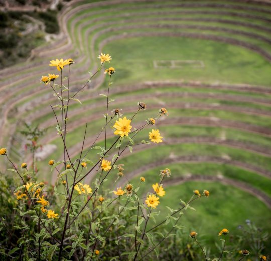 Туры в Перуанский коллаж 2025 - цены на путевки в Перу из Москвы от туроператора «Анекс Тур»