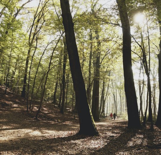 Туры в Загреб 2025 - цены на путевки в Хорватию из Москвы от туроператора «Анекс Тур»