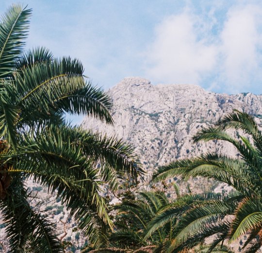 Туры в Черногорию 2025 из Москвы - цена на отдых от туроператора «Анекс Тур»