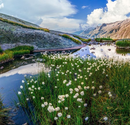 Туры в Швейцарию 2025 из Москвы - цена на отдых от туроператора «Анекс Тур» Туры в Швейцарию 2025 из Москвы - цена на отдых от туроператора «Анекс Тур»