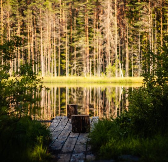 Туры в Эстонию 2025 из Москвы - цена на отдых от туроператора Анекс Туры в Эстонию 2025 из Москвы - цена на отдых от туроператора Анекс