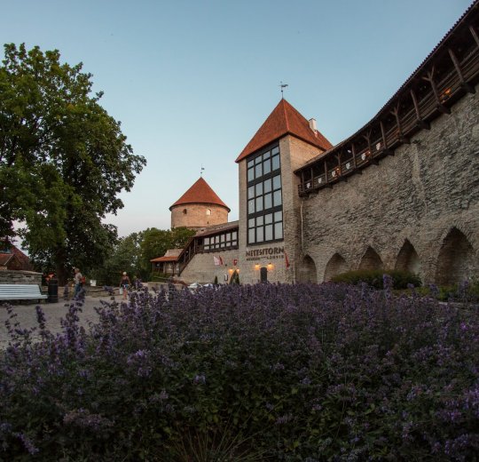 Туры в Эстонию 2025 из Москвы - цена на отдых от туроператора Анекс Туры в Эстонию 2025 из Москвы - цена на отдых от туроператора Анекс