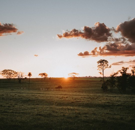 Туры в Очо Риос 2025 - цены на путевки на Ямайку из Москвы от туроператора «Анекс Тур»