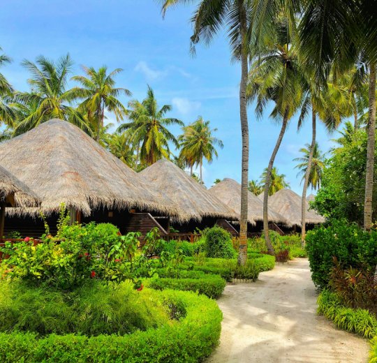 Пляжный отдых 2025 – туры и путевки из Москвы по выгодным ценам от «Анекс Тур» Пляжный отдых 2025 – туры и путевки из Москвы по выгодным ценам от «Анекс Тур»