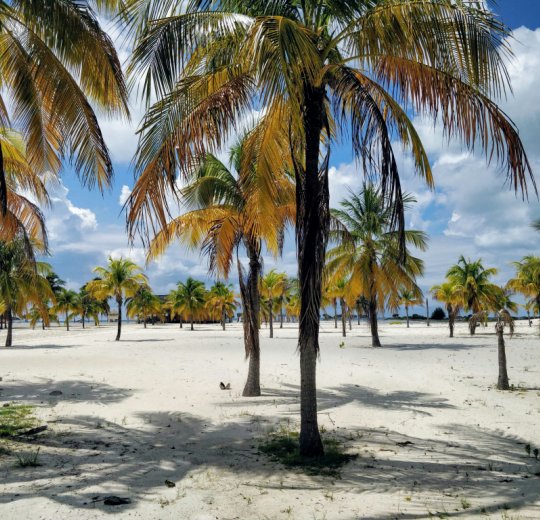 Путевки и туры на майские праздники с вылетом из Москвы – «Анекс Тур»