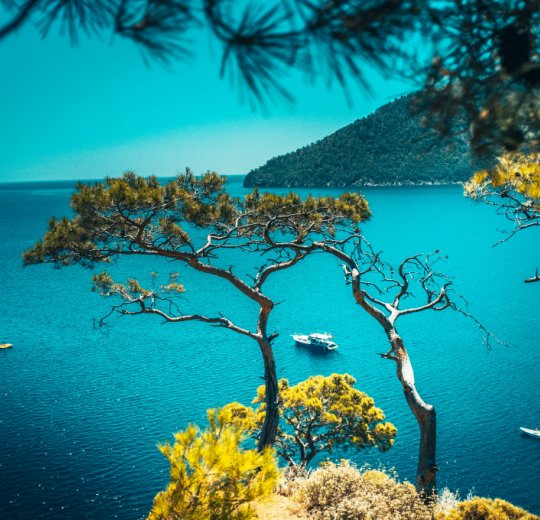 Раннее бронирование туров из Москвы для отдыха 2025 по недорогим ценам – «Анекс Тур»