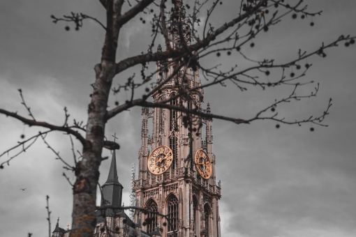 Туры в Антверпен 2024 - цены на путевки в Бельгию из Москвы от туроператора Anex Tour