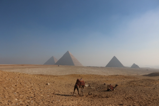 Туры в Каир 2023 - цены на путевки в Египет из Москвы от туроператора Anex Tour